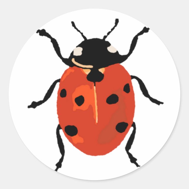 Ladybird Small Sticker (Front)