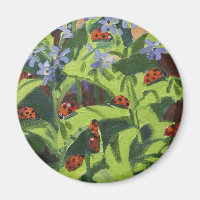 Ladybirds 2013