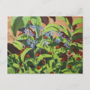Ladybirds 2013 postcard