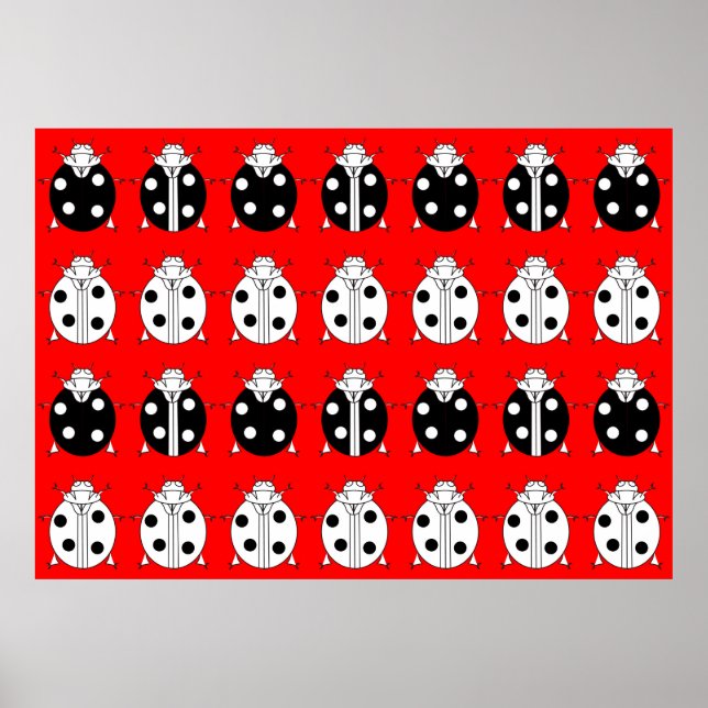 ladybirds pattern poster (Front)