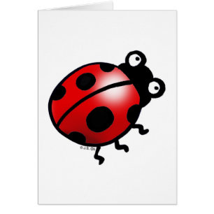 Ladybug