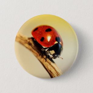 Ladybug 6 Cm Round Badge