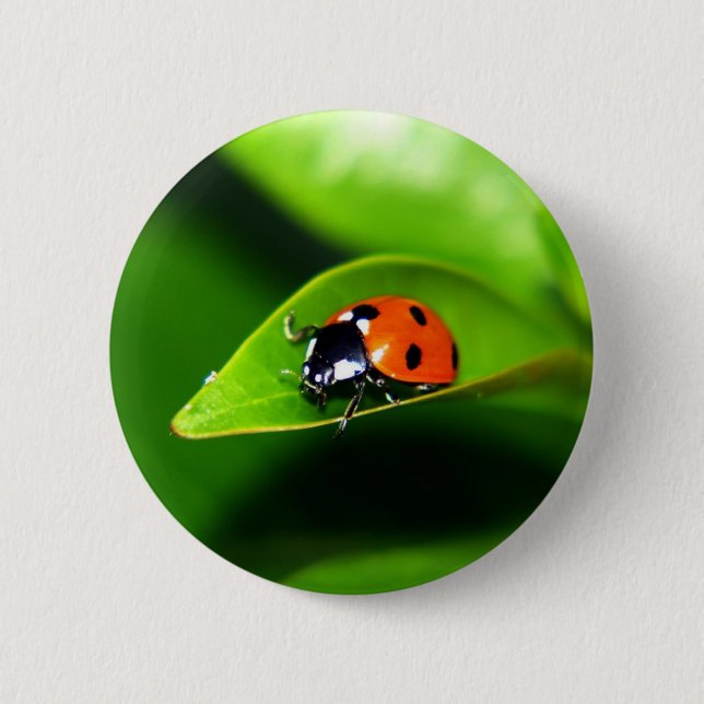 Ladybug 6 Cm Round Badge (Front)