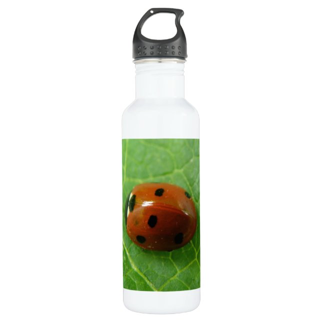 Ladybug 710 Ml Water Bottle (Front)