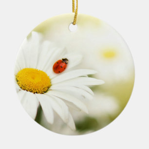 Ladybug and a Daisy Ceramic Tree Decoration