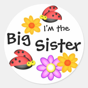 Ladybug and Flowers Classic Round Sticker