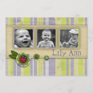 Ladybug and stripes Photo Gift Greeting Card