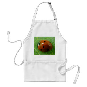 Ladybug Apron