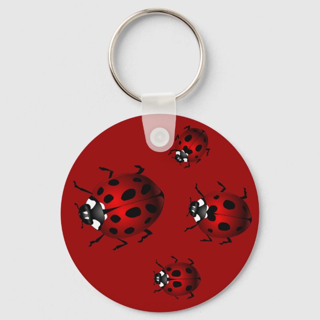 Ladybug Art Keychain Bug Keepsake Ladybug Gifts (Front)