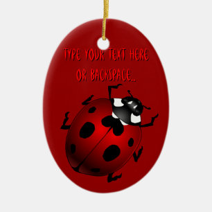 Ladybug Art Ornament Bug Keepsake Ladybug Gifts