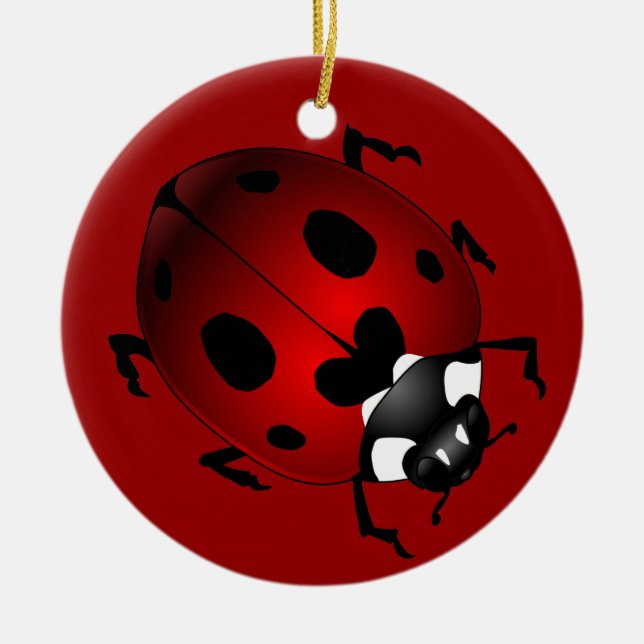 Ladybug Art Ornament Bug Keepsake Ladybug Gifts (Front)