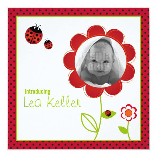 Ladybug birth announcement card