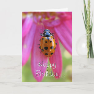 Ladybug Birthday Card