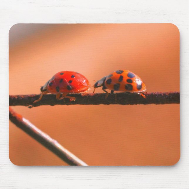 Ladybug Buddies Nature  Mouse Mat (Front)
