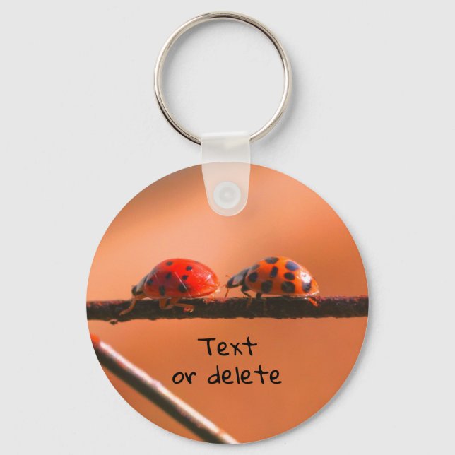 Ladybug Buddies Nature Personalised Key Ring (Front)