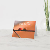 Ladybug Buddies Nature Thank You Card