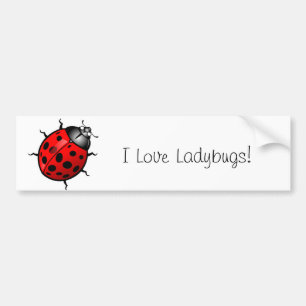 Ladybug Bumper Sticker