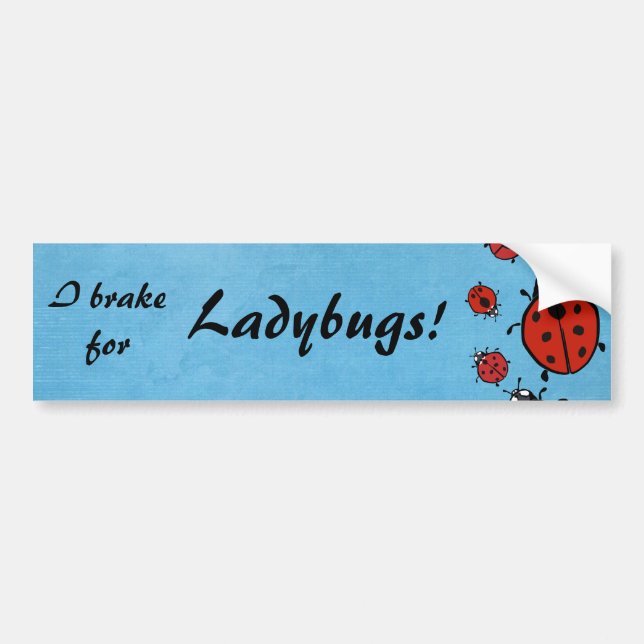 Ladybug Bumper Sticker (Front)