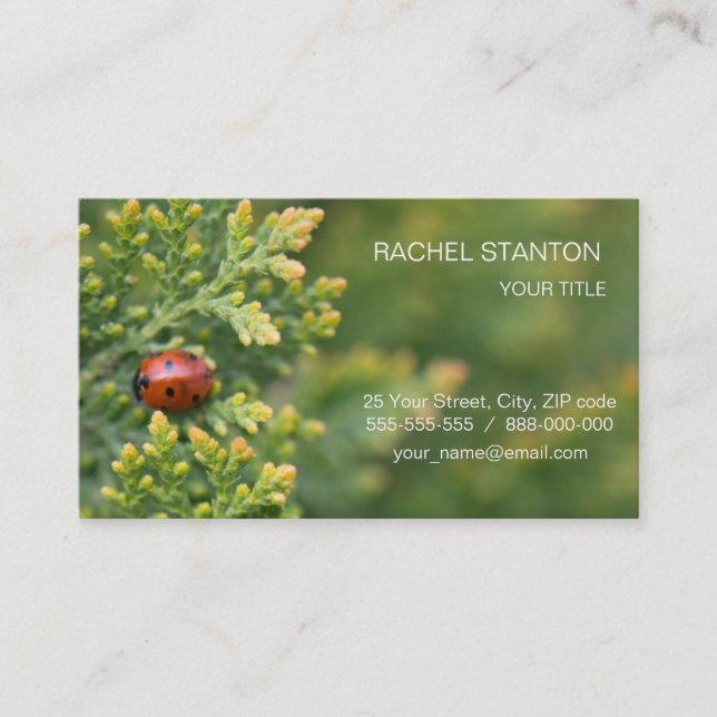 Ladybug Business Card (Front)
