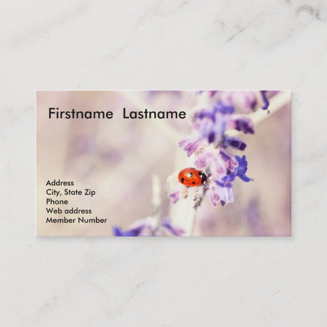 Ladybug Business Card (Front)