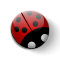Ladybug Button