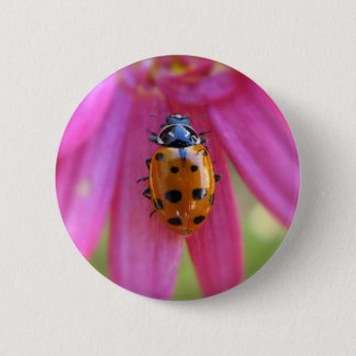 Ladybug Button