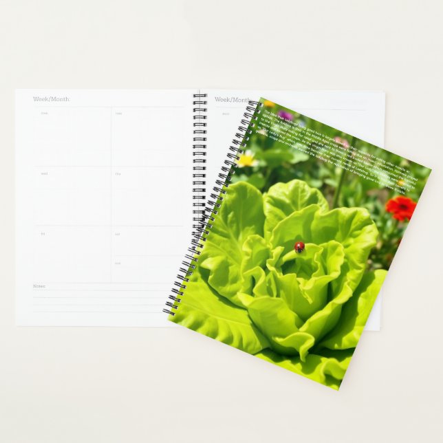 Ladybug Calendar Planner (Display)