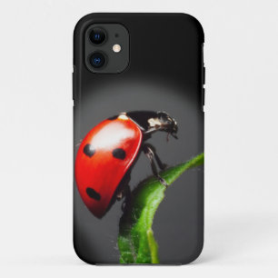 Ladybug iPhone 11 Case