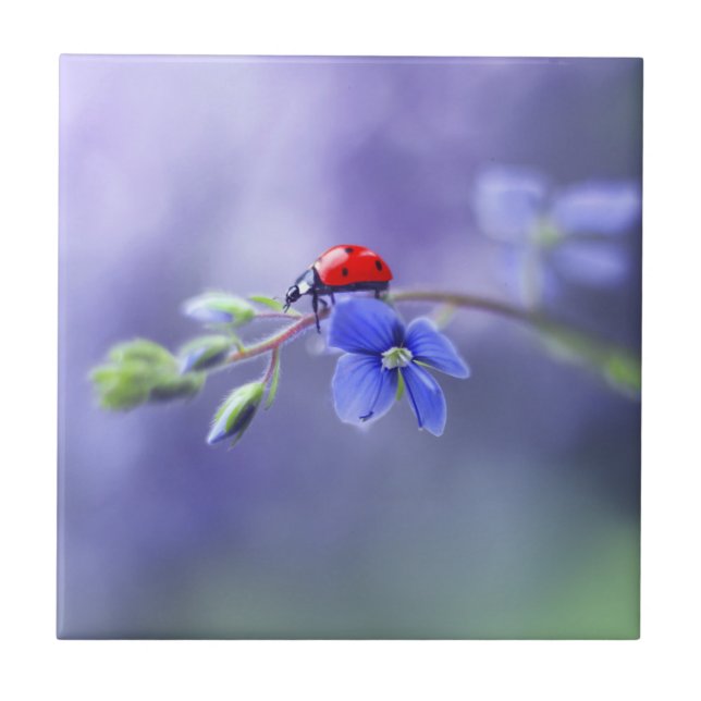 LADYBUG Ceramic Tile (Front)