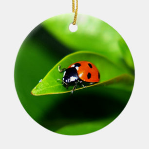 Ladybug Ceramic Tree Decoration