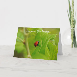 Ladybug Climbing to Success Graduation Card