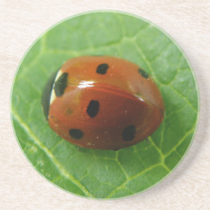 Ladybug Coasters