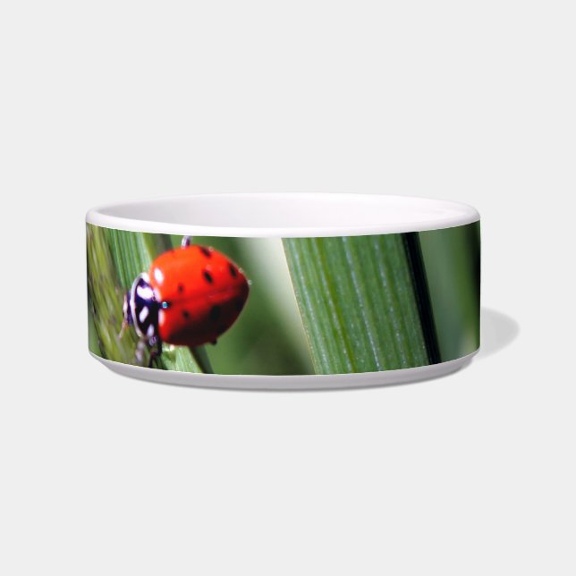 Ladybug (Coccinellidae) Bowl (Right)
