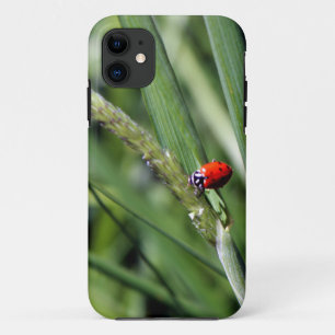 Ladybug (Coccinellidae) iPhone 11 Case