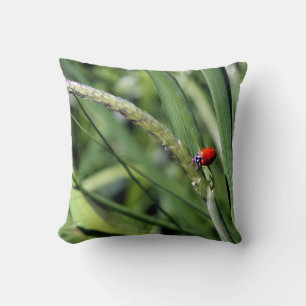 Ladybug (Coccinellidae) Cushion