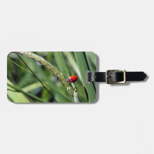 Ladybug (Coccinellidae) Luggage Tag (Front Horizontal)
