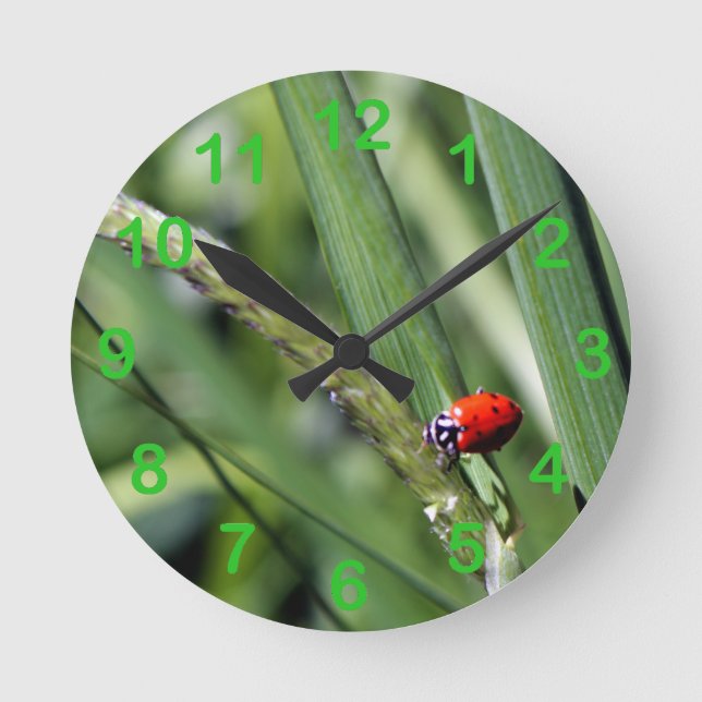 Ladybug (Coccinellidae) Round Clock (Front)