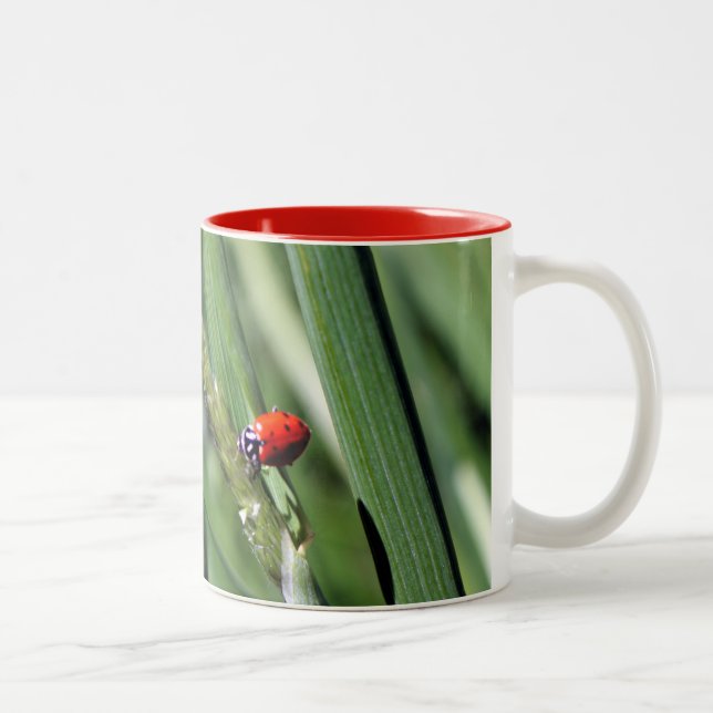 Ladybug (Coccinellidae) Two-Tone Coffee Mug (Right)