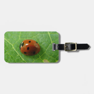 Ladybug Custom Luggage Tag