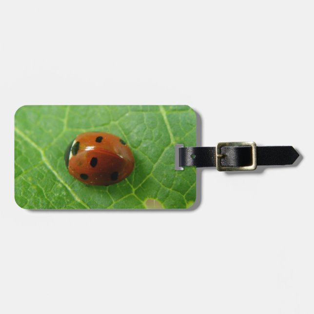 Ladybug Custom Luggage Tag (Front Horizontal)
