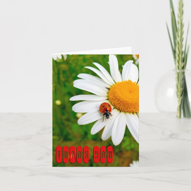 Ladybug & Daisies Thank You Card (Front)