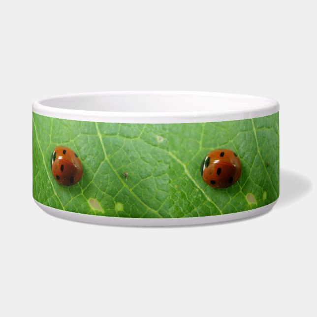 Ladybug Dog Bowl (Left)