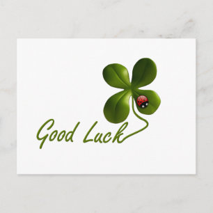 Ladybug dot beetle Office Custom Destiny Destiny'S Postcard