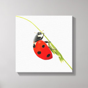 Ladybug drawing  canvas print