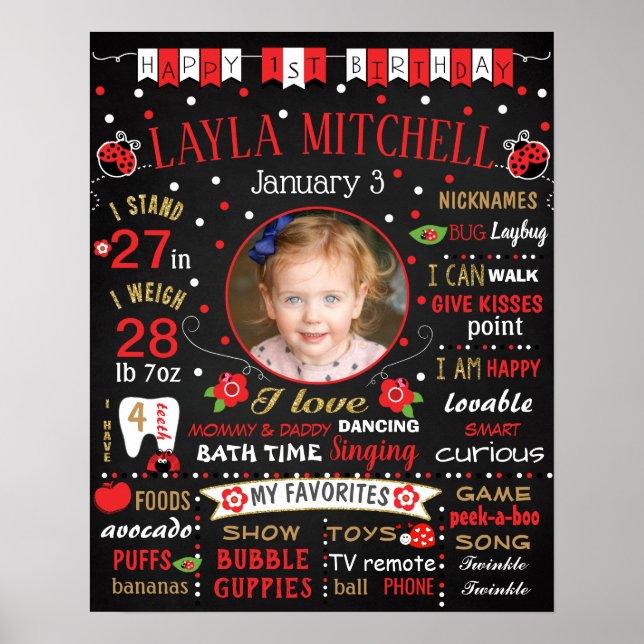 Ladybug First Birthday chalkboard sign (Front)