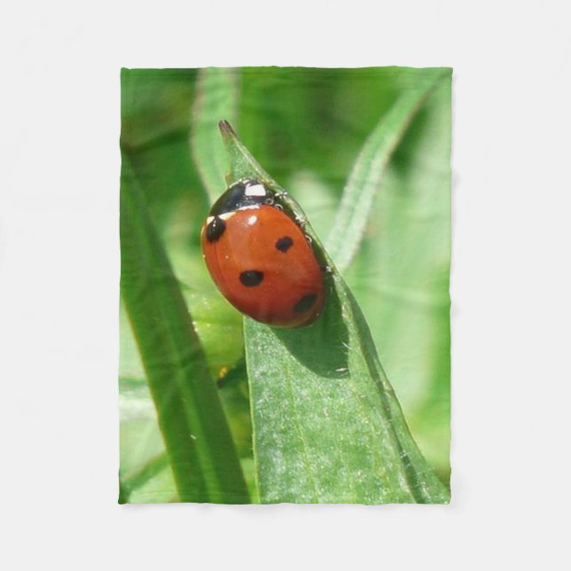 ladybug fleece blanket (Front)