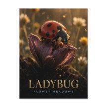 Ladybug Flower Meadows Wildlife ANIMAL