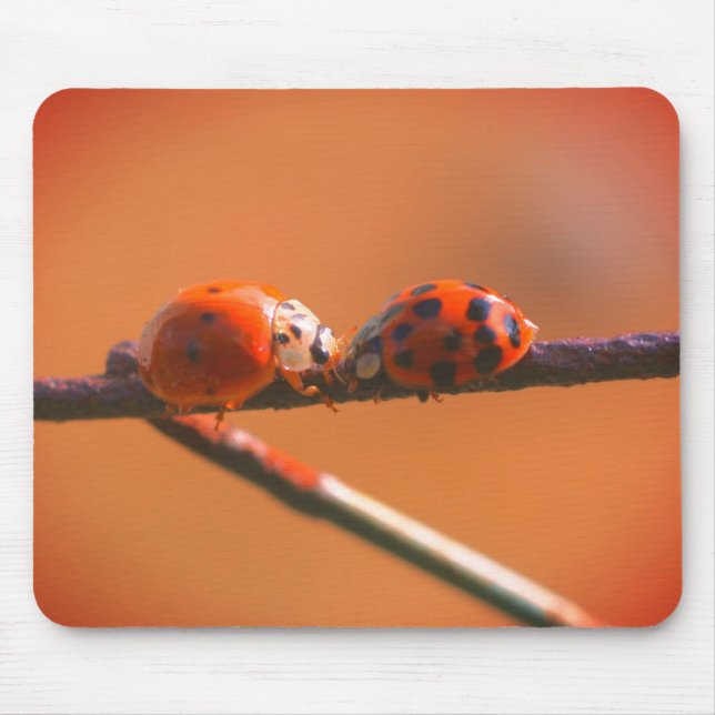 Ladybug Friends Nature  Mouse Mat (Front)