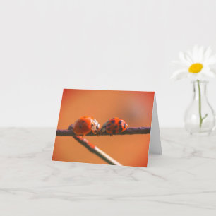 Ladybug Friends Nature Note Card