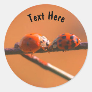 Ladybug Friends Nature Personalised Classic Round Sticker